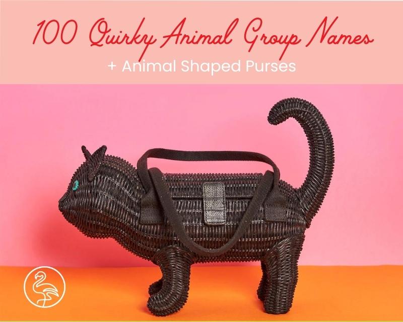 100+ Animal Group Names you NEED to know in Honour of our Animal Shaped Purse Families