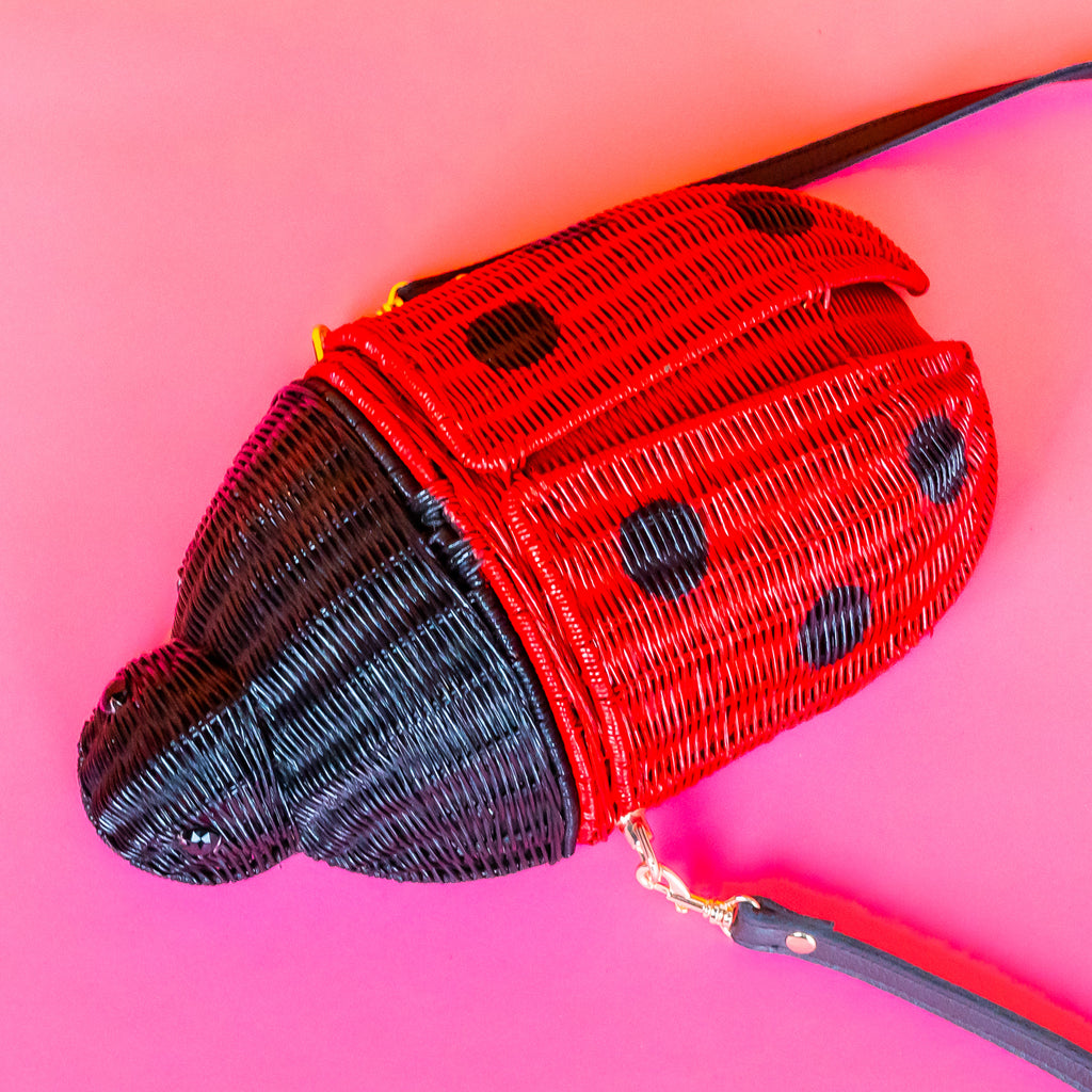 Wicker darling wicker ladybird handbag ladybug purse sits in a colourful background. 