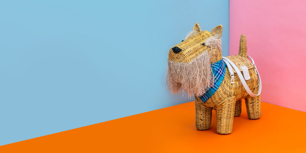 Macgregor the scottish terrier purse sits in a colourful background