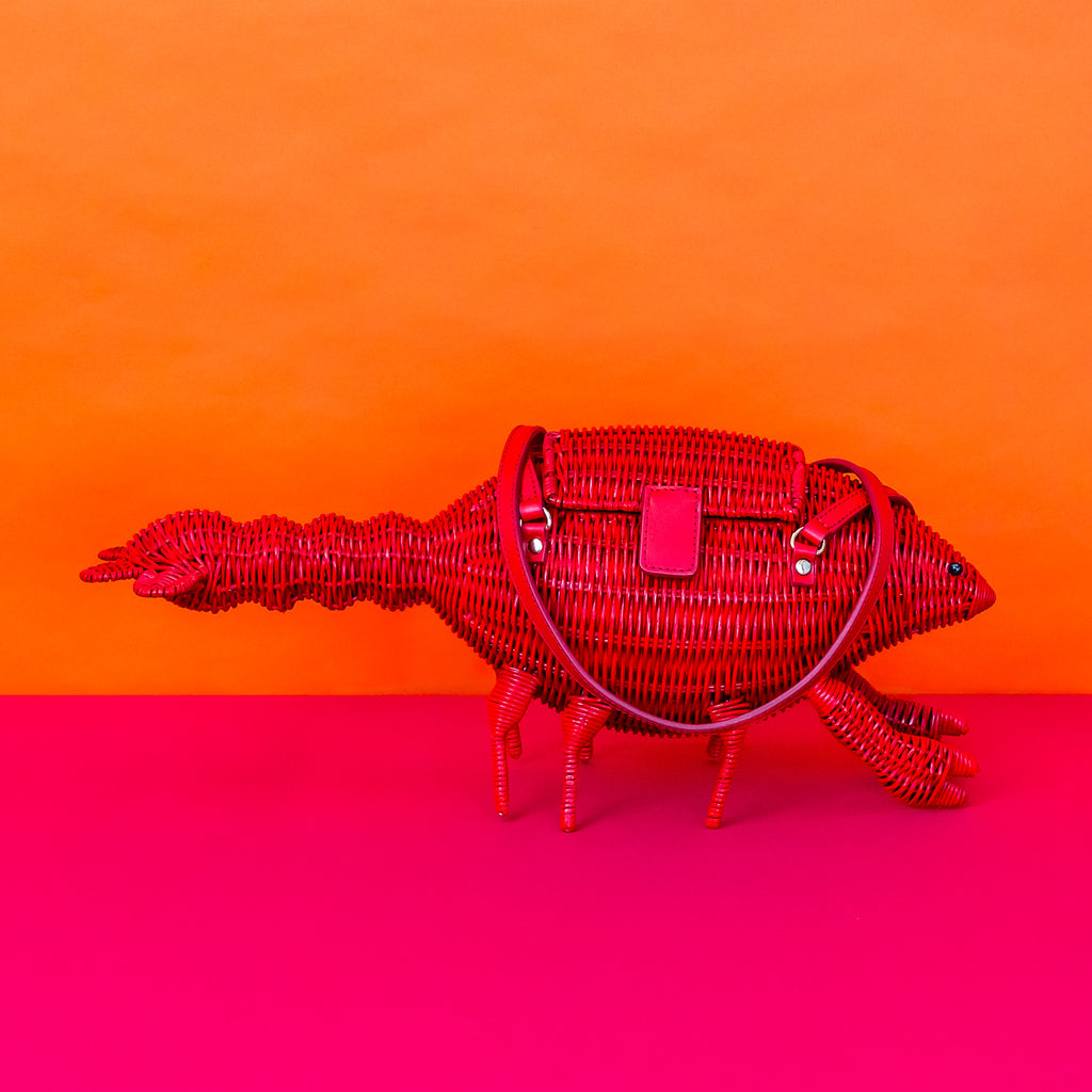 Wicker darling Leonardo Da Pinchy lobster handbag lobster shaped purse sits in a colourful background.