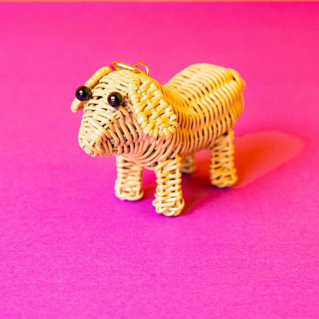 Wicker Darling sausage dog keyring wicker keychain sits in a colourful background