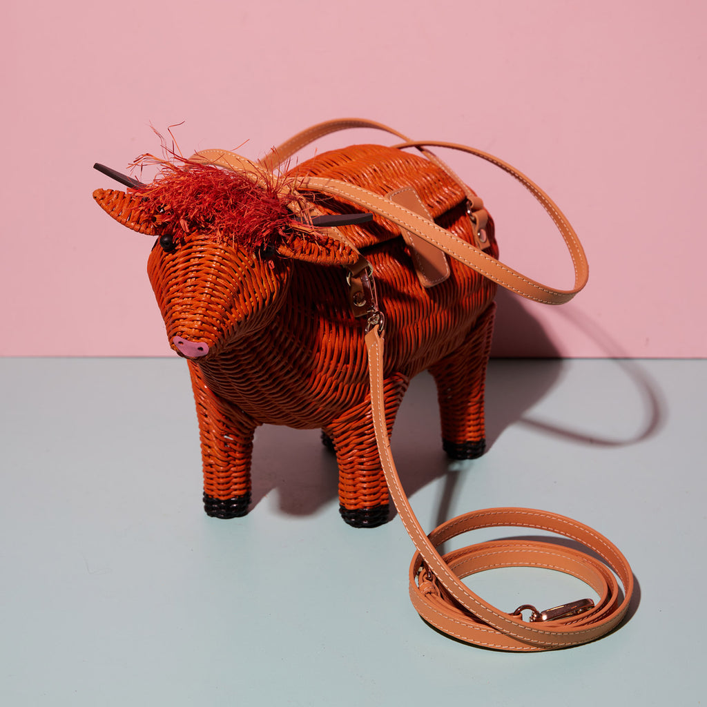 Skye the Highland Cow by Wicker Darling is a red orange cow with fun hair, that sits in a colourful background.
