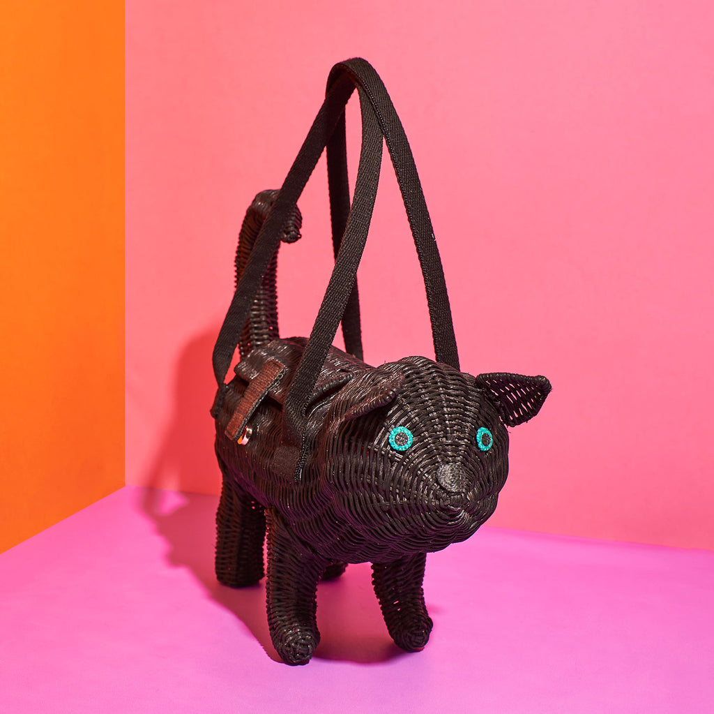 Wicker darling cat purse black cat bag in a colourful room